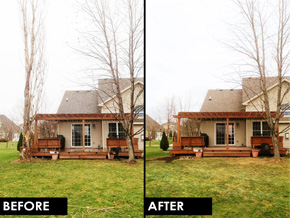 Before and after image of tree removal. 