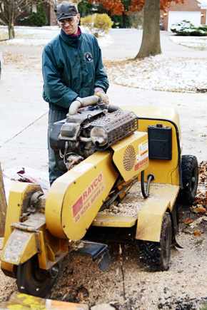 Grinding out a stump. 